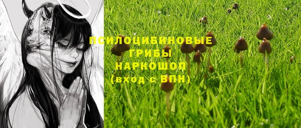 метадон Абаза